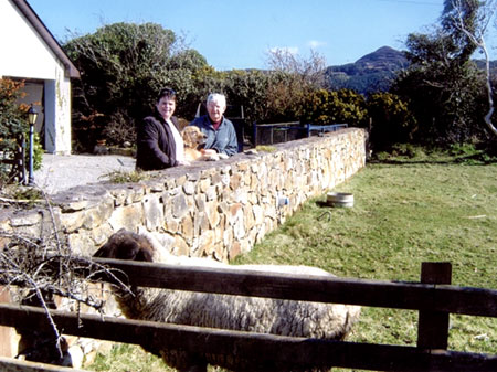 Our Sheep & Dog were appreciated by visitors!